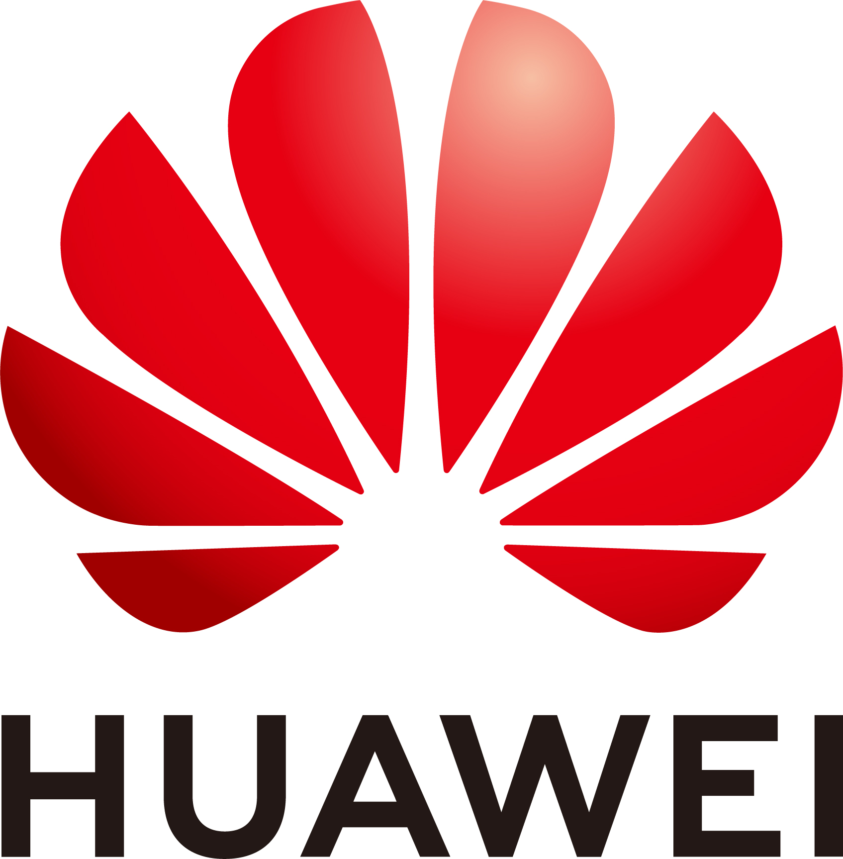 Huawei Oak OS will be released soon